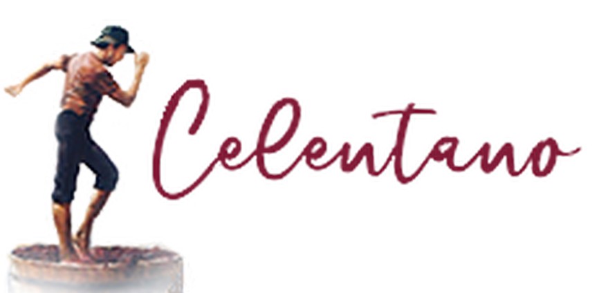 Официальные интернет магазин CELENTANO